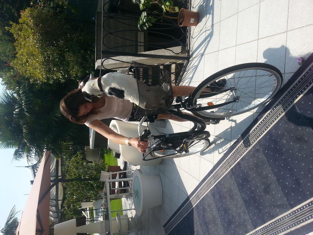 Hotel Villa Savoia Turin Luaran gambar